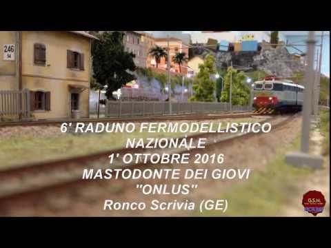6 RADUNO MODELLISTICO RONCO SCRIVIA