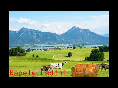 Kapela Ladini - Kotě    kitten