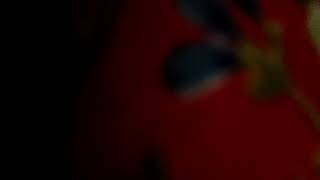 Heartquake Karwaan v2.0