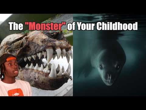 The Predator We Still Can't Figure Out