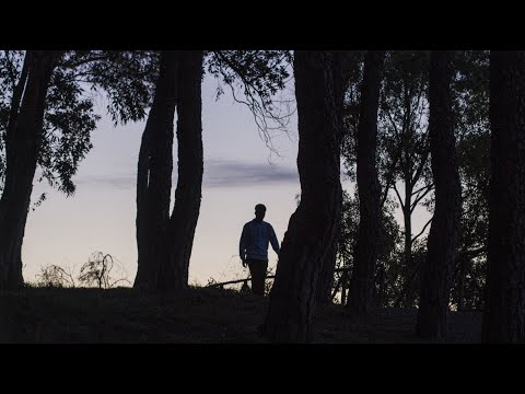 Frank Berrek - CUPOLE (Official Video)