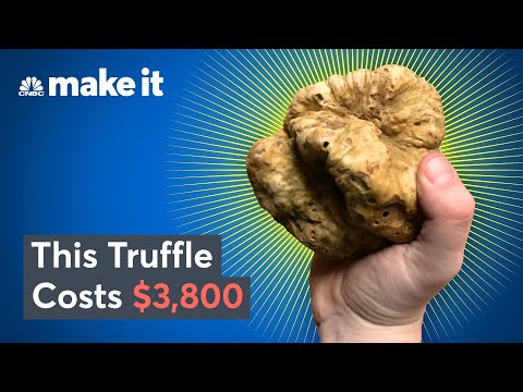 Why White Truffles Cost Up To $75K Per Pound