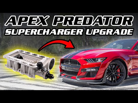 GT500 Makes 900HP with Apex Supercharger Upgrade | Dyno Results!