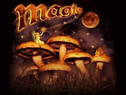 Z-Machine vs Magnetica - Sacred