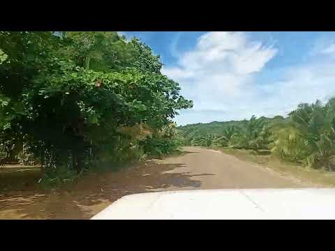 Buluminski Highway, New Ireland Province, Papua 🇵🇬