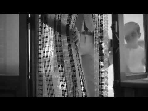 it's back guys, 💃Lamborghini 🏎️Countach LP 500, the engine sound is crazily dope 😎