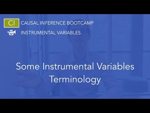 Some Instrumental Variables Jargon: Causal Inference Bootcamp