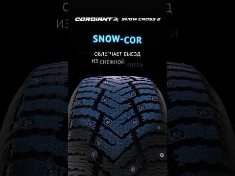 Миниатюра изображения товара Зимняя шина Cordiant Snow Cross 2 185/60R14 86T (шипы)
