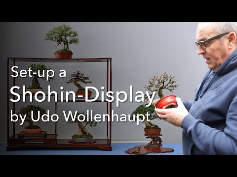How to set-up a Shohin-Display and how many Shohin you need for that