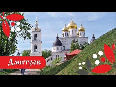 Дмитров 2016