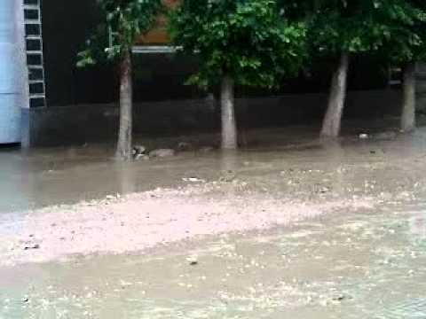 GRINDINA LA SUPLACU DE TINCA 5