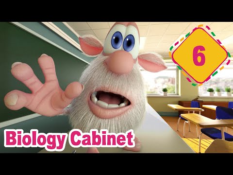 Booba - Episode 6 - Biology Cabinet - Funny cartoons for kids - BOOBA ToonsTV