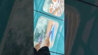 Sky Walk: Princess Cruises #princess #cruise #cruiseship #cruisetour #cruiseline
