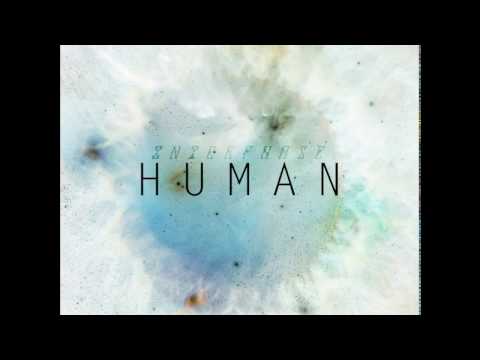 Interphase - Human