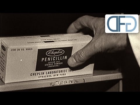 Der Penicillin-Entdecker - Alexander Fleming