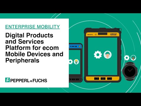 eSETTINGS Ident-Ex API DEMO