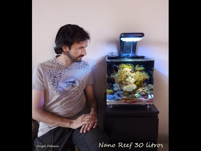 Nano reef 30 L