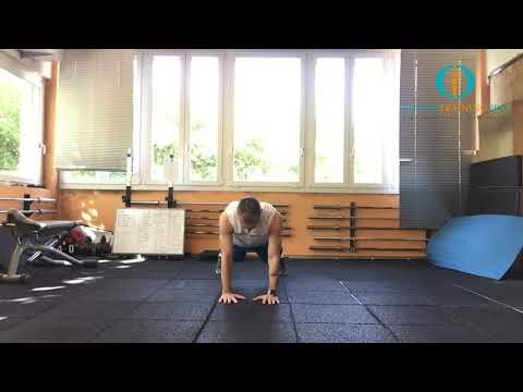 High Plank Shoulder Taps