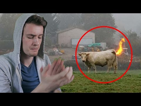 péniszszerű zöldségek az erekció 1 idő után eltűnik