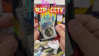 RIPPING 🤩PERFECT🤩 ORDER BLISTER‼️ #pokemon #shortvideos #viral