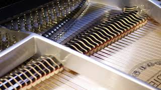Video thumbnail for The Sauter "Vivace" Available at Michelle's Piano by Michelle's Piano