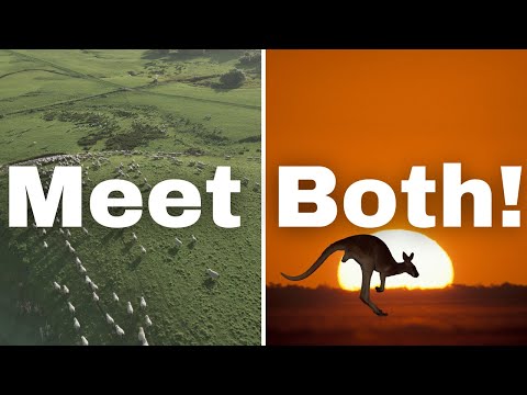 How To Plan The Perfect Australia and New Zealand Trip in 2026?