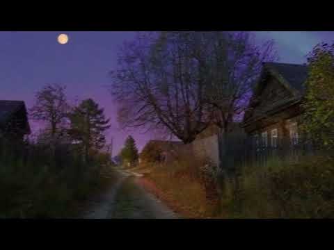 [free] fats'e + dnb + yards4le type beat - "bug" (wisssery)