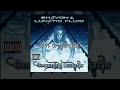 Lunatic Fluid Becoming Lunatic Full Album