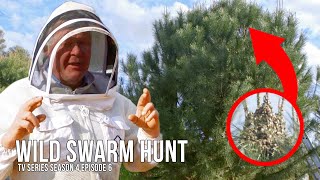 Spring Swarm Traps - Setting Up Old Bee Boxes for New Bees! | The Bush Bee Man