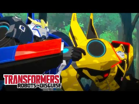 The Chase is on! | Robots in Disguise | Compilation | Animation | Transformers Official