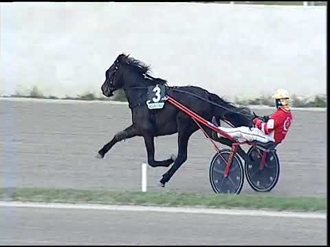 Napoli Trotto 16/12/2022 - 1ª corsa