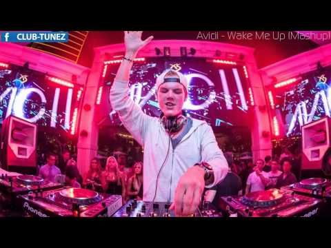 Avicii "Wake Me Up" (Epic Mashup)