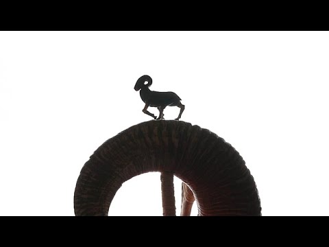 Cómo una tradición kazaja de marionetas cautiva a las nuevas generaciones