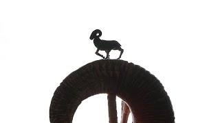 Thumbnail del capítulo