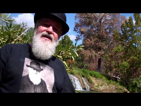 Darwin meets a living fossil