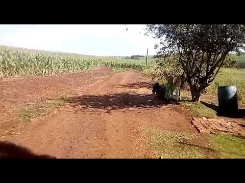 Bendito, seja, o cordeiro tocado, ERMAO LAERCIO , com FLAUTA, Pam
