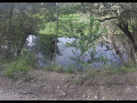 Hoogekraal Birding Route. On the Garden Route near Sedgefield in the Western Cape