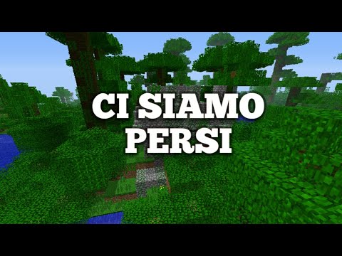 CI SIAMO PERSI NELLA GIUNGLA