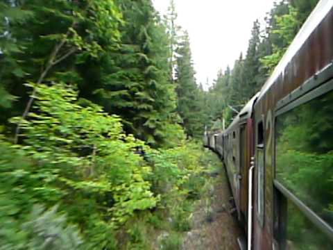 Viaduct pe ruta Ilva Mica - Vatra Dornei - V