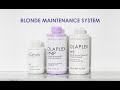 Kondicionér a balzám na vlasy Olaplex N°5 Bond Maintenance Conditioner 250 ml