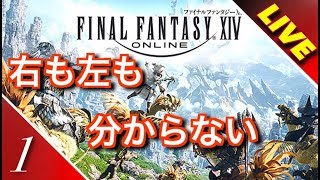 【実況】右も左もわからないFF14　生放送
