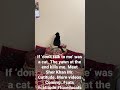 Sher Khan My Tuxedo Cat Mad At Me For Telling Him He Can T Jump On The Table