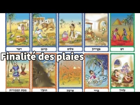 Rav David Benitah - Chemot la finalité des plaies