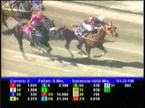 Resumen Sabado, 23 de Febrero de 2013 - La Rinconada