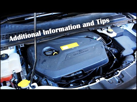2016 Ford Escape Oil Change | Additional Information and Tips