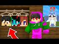 I Stole YOUTUBER Skins in Minecraft