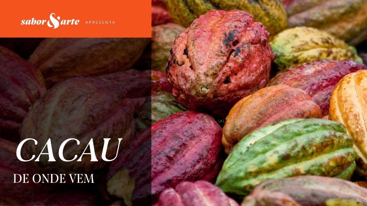 A Origem do Cacau |  De Onde Vem (Ep. 01)