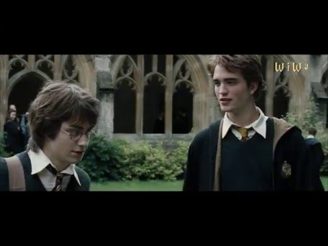 Fresh Dumbledore - Potter stinkt (Chim Chimney) [WiWa Music Video] (HD)