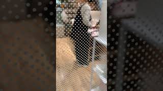 新横浜駅の近くにある「ラーメン博物館」に行きました😊💞自分の好きな具やスープ、麺を選んだりして、自分好みのカップラーメンが作れます🤗😋とても美味しいし、おすすめの場所です🥰平日がおすすめ。#新横浜