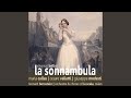 La Sonnambula: Act I, Part Two